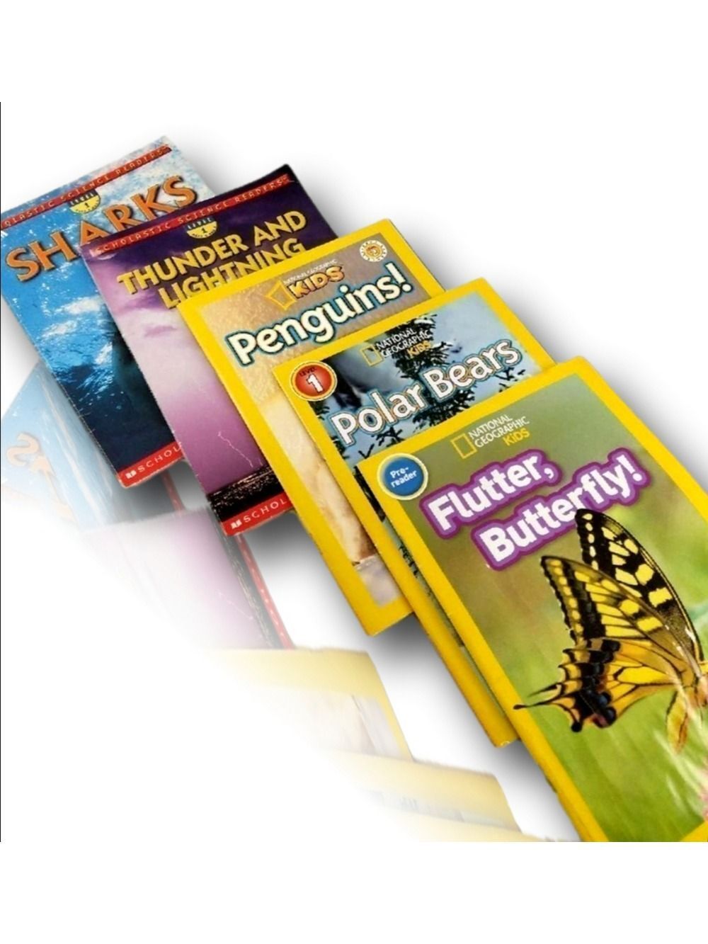 LOT of 5: Non fiction readers *L